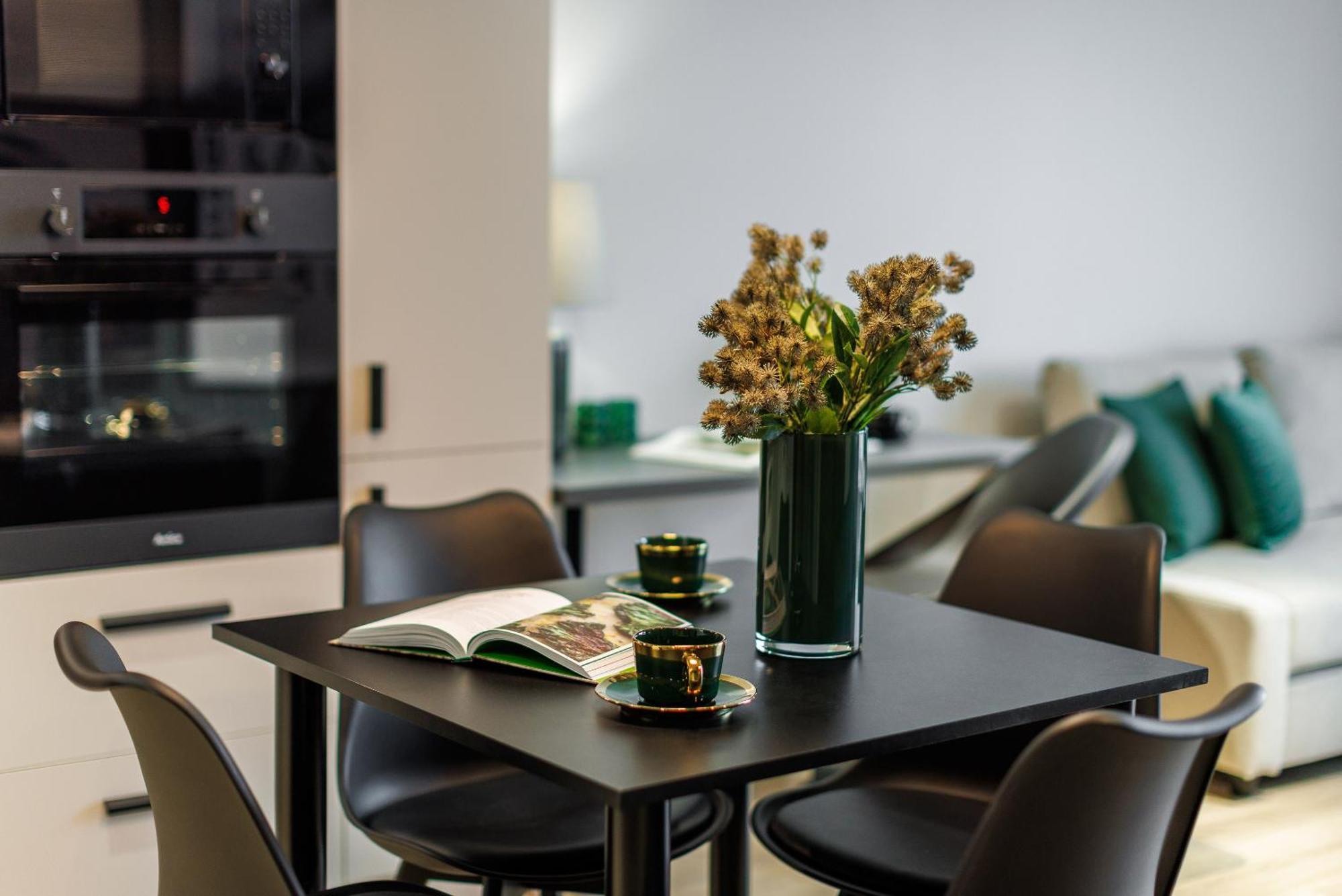 Apartment Emihouse Krakovska Rzeszow
